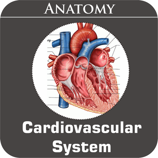 Cardiovascular System 1.3 Icon