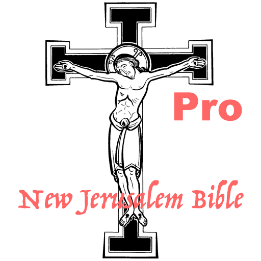 NJB Audio Bible Pro 2.9 Icon