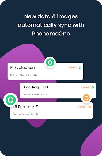 PhenoTop screenshot 23