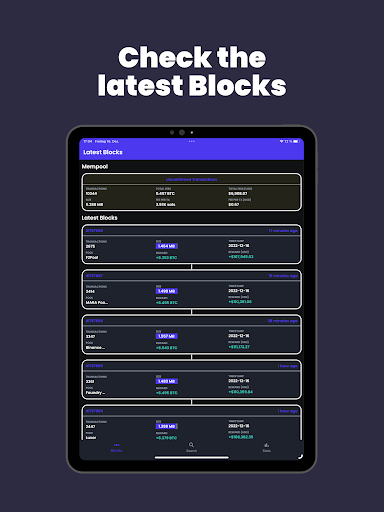Bitcoin Block Explorer 6