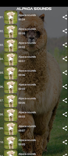Alpaca sounds Screen 2