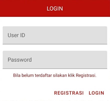 Balijek Daily Screen 1