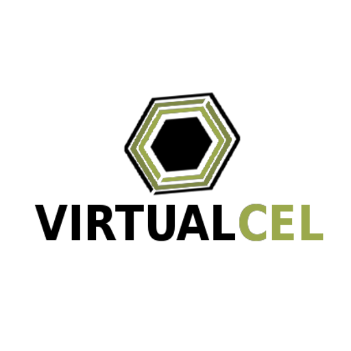 Virtualceltae logo