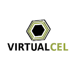 Virtualceltae