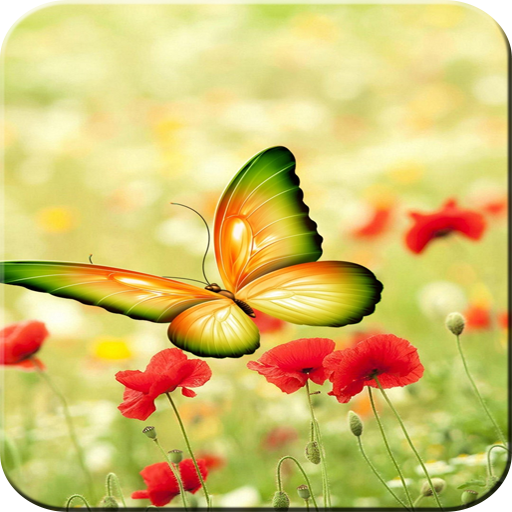 Butterfly Wallpaper - Colorful logo
