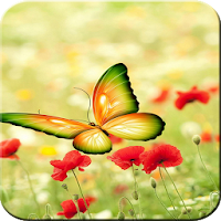 Butterfly Wallpaper - Colorful