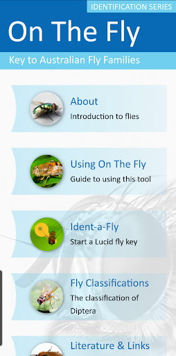 Android application On the Fly screenshort