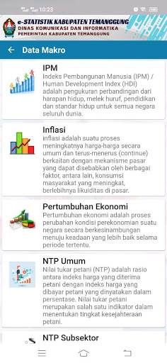 E-Statistik Screen 2