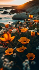 Fall Flowers Wallpapers