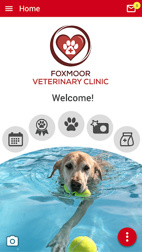 Android application Foxmoor Vet Clinic screenshort