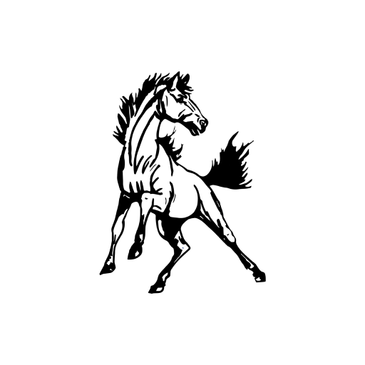 Shandon Joint Unified logo