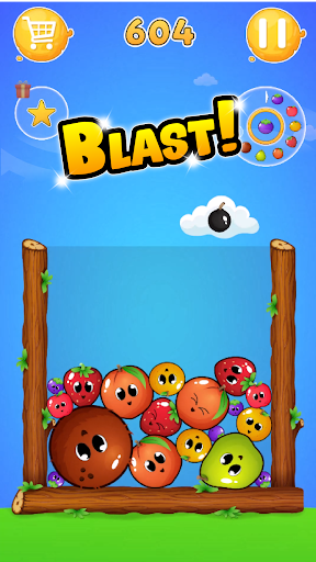 Funny Fruits Watermelon Game