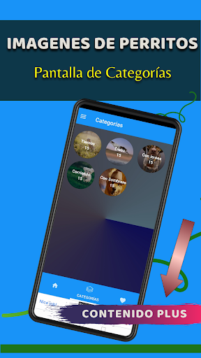 Imágenes de Perritos