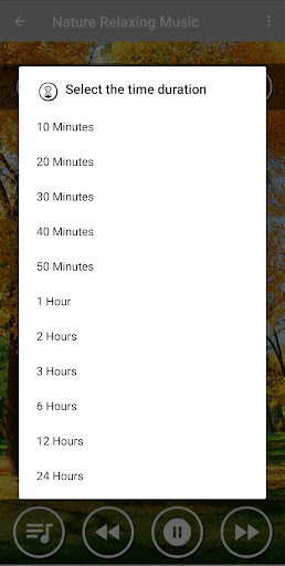 Binaural Beat-Meditation Music Screen 3