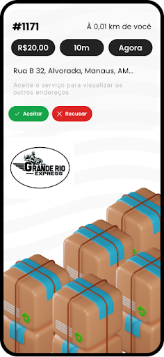 Grande Rio - profissional