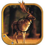 Deer Hunt Rapid Shooting icon