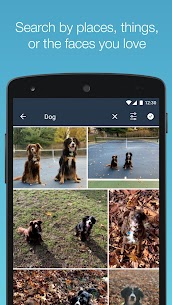Amazon Photos 4