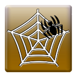 Drop The Spider icon