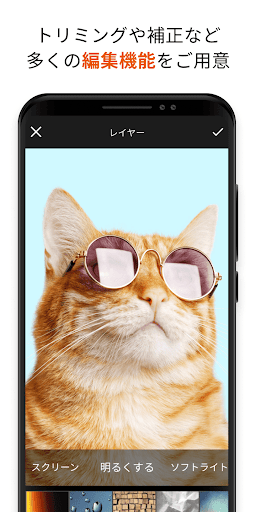 写真クラウド screenshot 4