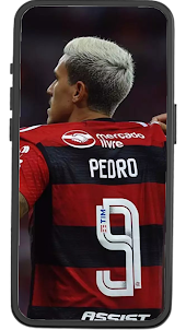 Pedro Flamengo Wallpapers