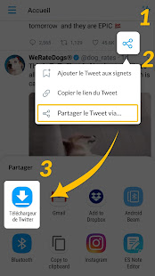 Aperçu de l'application