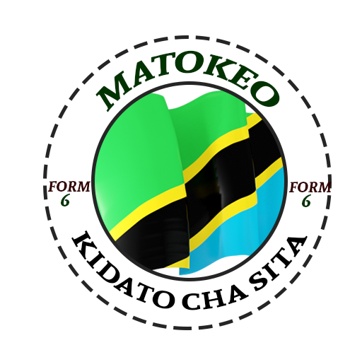 Matokeo Kidato Cha Sita 2023 Download on Windows