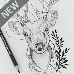 Cover Image of Download Art Drawing Ideas 1.5 APK