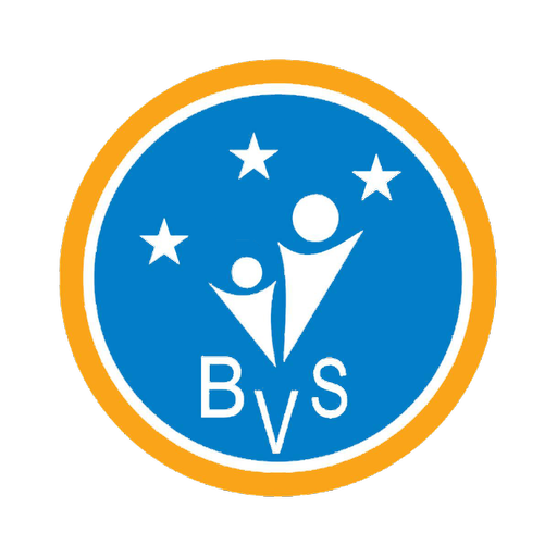 Bidhya Vumi School logo