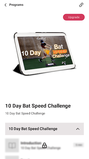 CamWood Bats Screen 3