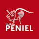 Portal Peniel Windows에서 다운로드