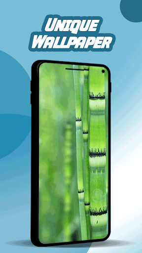 Apus Bamboo Wallpaper