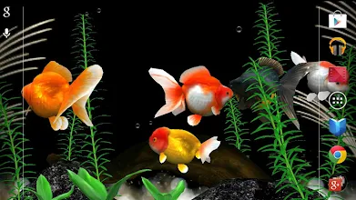 金魚 Gold Fish 3d ライブ壁紙 Google Play のアプリ