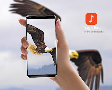 Eagle Bird Sound Effects 1.0.4 APK + Mod (Unlimited money) untuk android