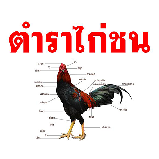 ตำราไก่ชน logo