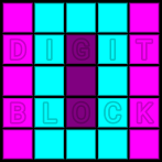 Digit Block