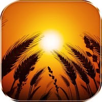 Пшеничное поле на анимированном фоне