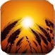 アニメーションの背景の麦畑 - Androidアプリ