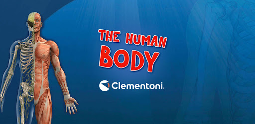 The Human Body