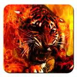 Fire Tiger Live Wallpaper icon