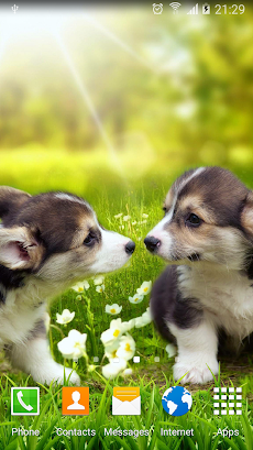 Cute Puppies Live Wallpaperのおすすめ画像5