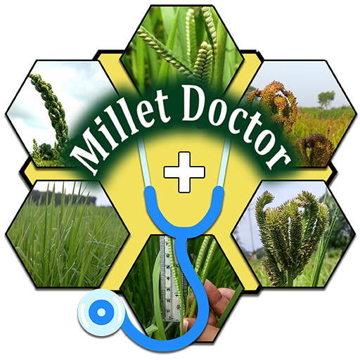 Millet Doctor  Icon
