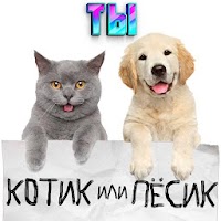 Тест какой ты котик или пёсик.