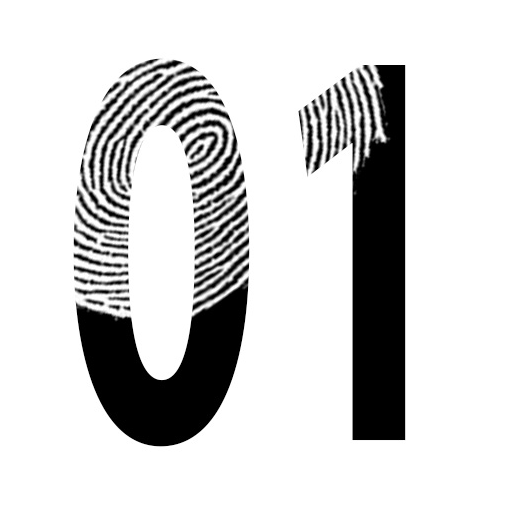 Binary Flight logo