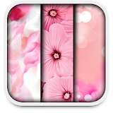 pink live wallpapers icon