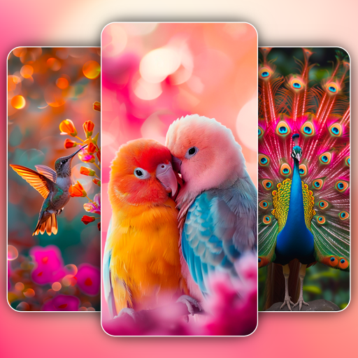 Birds Wallpaper in 4K - AppWisp.com