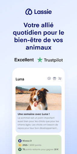Aperçu de l'application