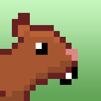 Squirrel Squirrel
