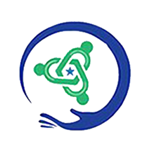 North Star Care logo