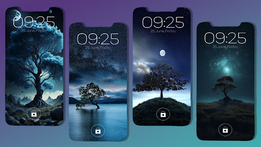 Night Wallpaper Scenery