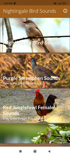 Android application Nightingale Bird Sounds screenshort